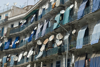 Illustration for article titled GALLERY: A Portrait of Algiers
